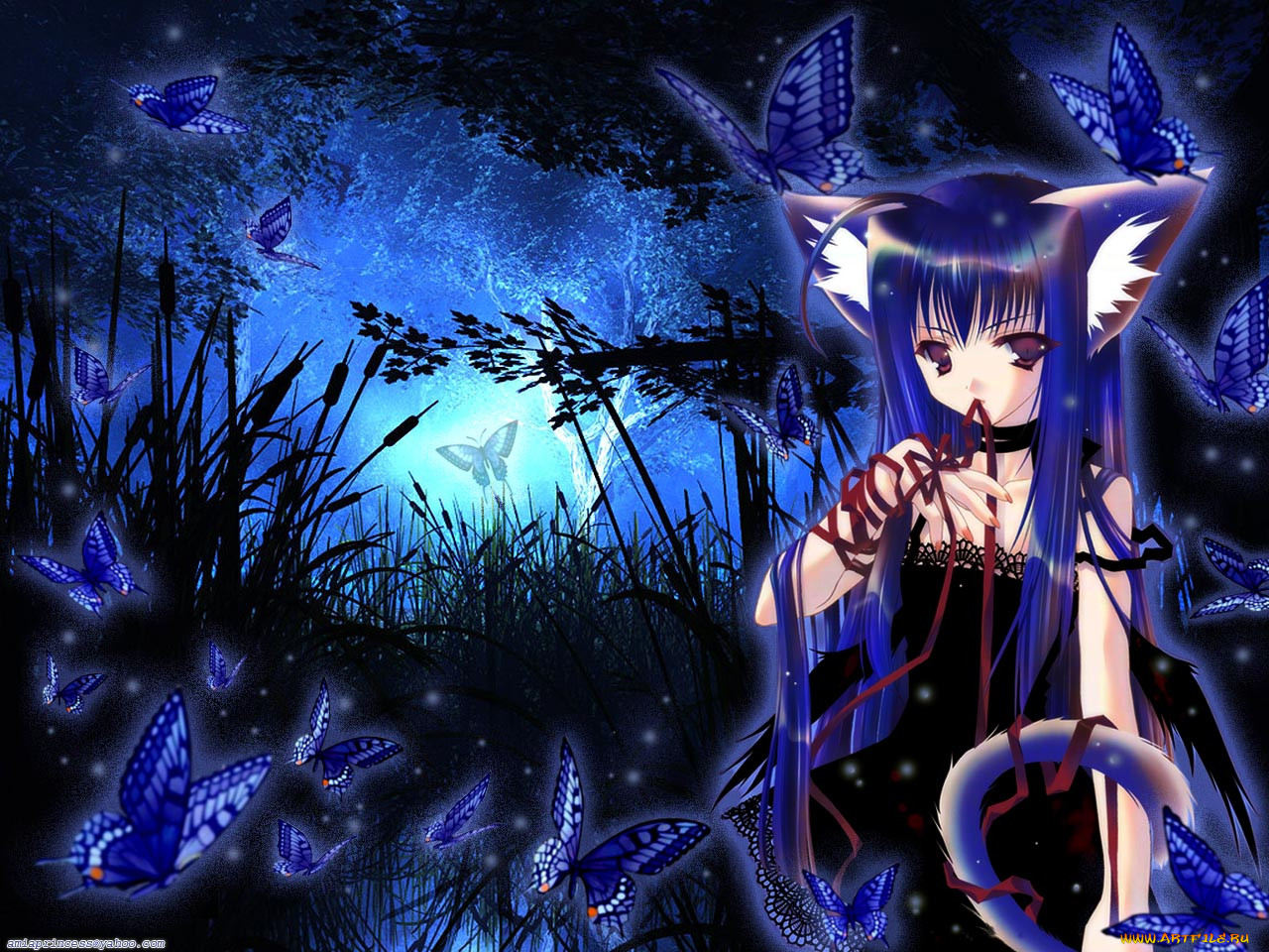 , animals